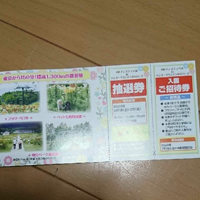 那須塩原　7月18～8月30日　那須　ハンターマウンテンゆりパーク　5名入園無料 チケットの施設利用券(遊園地/テーマパーク)の商品写真