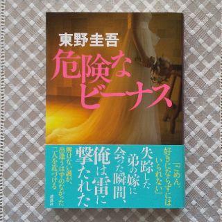 コウダンシャ(講談社)の危険なビ－ナス(文学/小説)