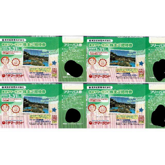 東京サマーランド  フリーパス　４枚　お盆も使用出来ます チケットの施設利用券(遊園地/テーマパーク)の商品写真