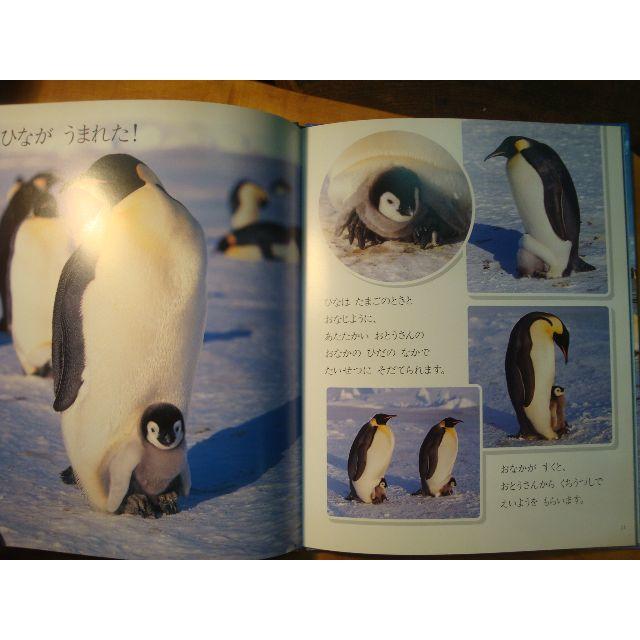 にじのみずたまり 絵本 ペンギンボックス KADOKAWA 最高の にじのみずたまり KADOKAWA ペンギンボックス 絵本 絵本