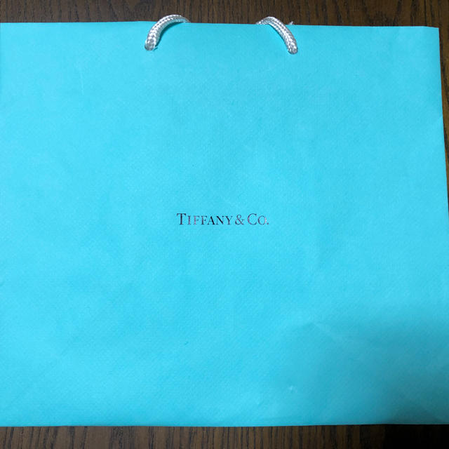 Tiffany & Co.(ティファニー)のTiffany&co 袋、ケース レディースのバッグ(ショップ袋)の商品写真