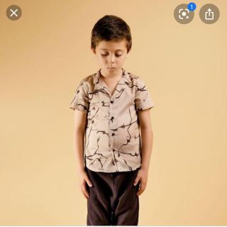 ザラキッズ(ZARA KIDS)のWOLF & RITA 6(Tシャツ/カットソー)