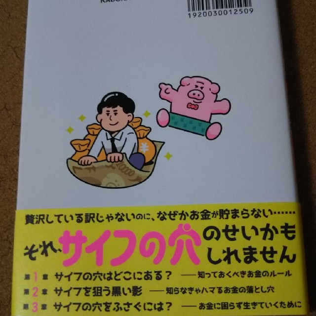 サイフの穴をふさぐには？ 学校も会社も教えてくれない税とお金と社会の真実 エンタメ/ホビーの本(住まい/暮らし/子育て)の商品写真