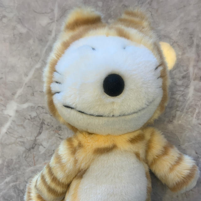 人気ブランド レア 11ぴきのねこ ぬいぐるみ トラネコ大将 想像を超えての Www Forexfunction Com 人気ブランド レア 11ぴきのねこ ぬいぐるみ トラネコ大将 想像を超えての Www Forexfunction Com