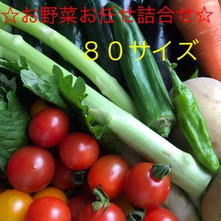 ☆お野菜お任せ詰合せ☆80サイズ(野菜)