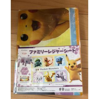 ポケモンレジャーシート(その他)