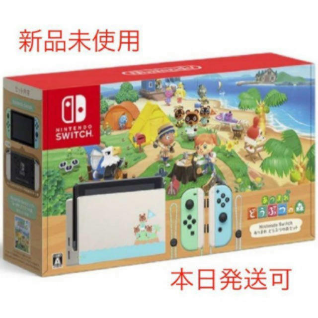 Nintendo Switch あつまれどうぶつの森　セット