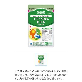 小林製薬　イチョウ葉＆DHAセット(その他)