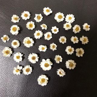 花かんざしドライフラワー訳あり(ドライフラワー)