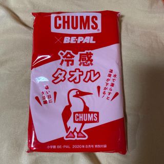 チャムス(CHUMS)のBE–PAL付録 CHUMS 冷感タオル(その他)