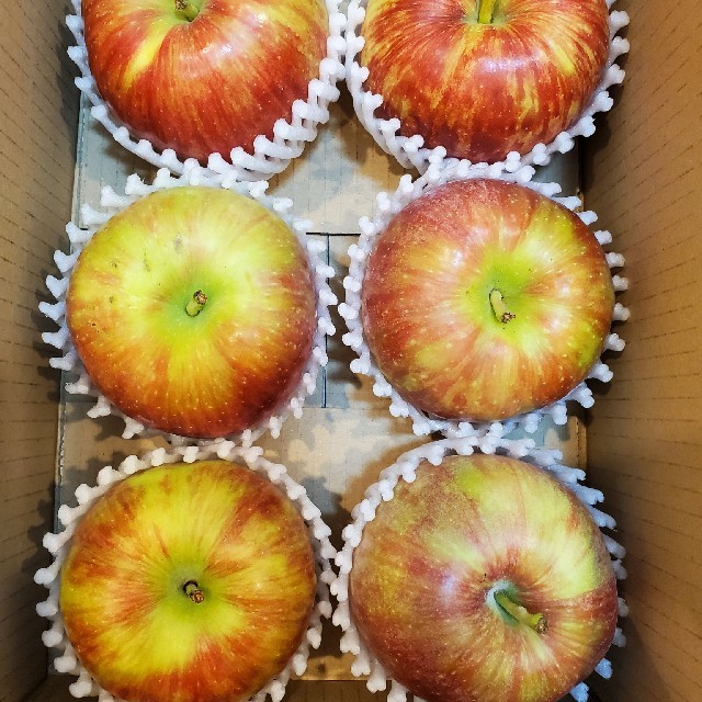 新りんご!!　信州安曇野産「シナノレッド」 食品/飲料/酒の食品(フルーツ)の商品写真