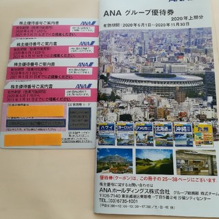 アイアイメディカル(AIAI Medical)の全日空　ANA 株主優待券(その他)