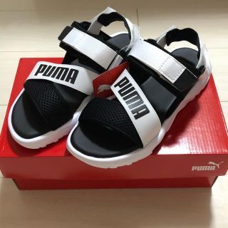 プーマ(PUMA)のPUMA プーマ トレイルサンダル ホワイト 25cm(サンダル)