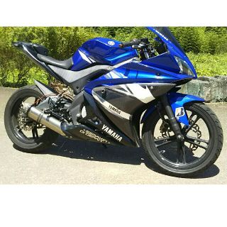 ヤマハ(ヤマハ)のヤマハ YAMAHA YZF-R125 レーサー仕様 カスタム車両 書類あり(車体)