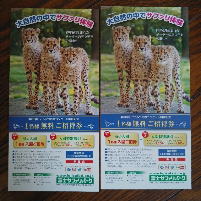 富士サファリパーク　 チケットの施設利用券(動物園)の商品写真
