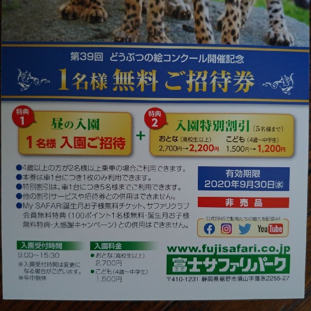 富士サファリパーク　 チケットの施設利用券(動物園)の商品写真