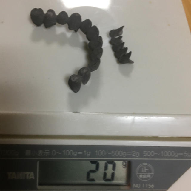 金パラ　20g  撤去冠