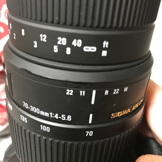 SIGMA(シグマ)のSIGMA 望遠ズームレンズ 70-300mm F4-5.6 DG canon スマホ/家電/カメラのカメラ(レンズ(ズーム))の商品写真