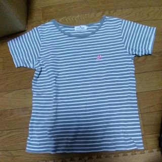 クレージュ(Courreges)のクレージュ☆Mサイズ☆コットンＴシャツ(Tシャツ(半袖/袖なし))