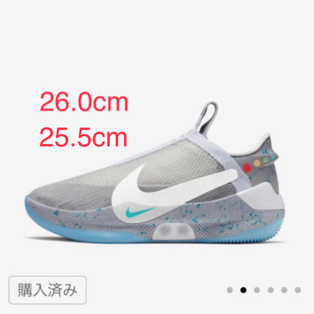 NIKE  Adapt BB ウルフグレー  アダプト BB   MAG靴/シューズ