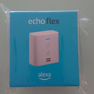 エコー(ECHO)のecho flex 1個(その他)