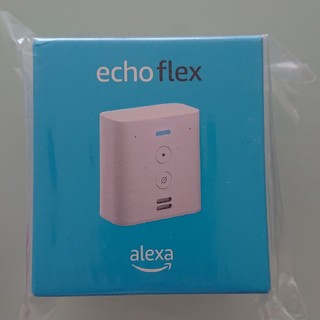 エコー(ECHO)のecho flex 1個(その他)
