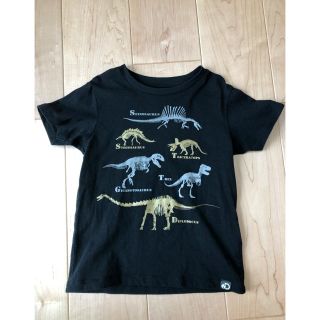 ユニクロ(UNIQLO)のUNIQLO 120 Ｔシャツ 恐竜 ディスカバリーチャンネル(Tシャツ/カットソー)