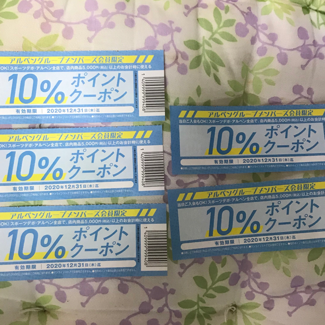 12月末まで有効!アルペン デポ全店で使える 還元券 10%還元かける5枚