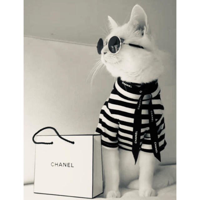 CHANEL(シャネル)の【CHANEL】インテリアポスター エンタメ/ホビーのアート用品(ポスターフレーム)の商品写真