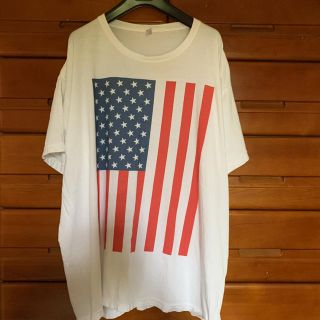 アメリカンアパレル(American Apparel)のアメアパ　アメリカ　星条旗　Tシャツ (Tシャツ(半袖/袖なし))