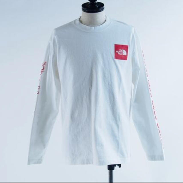 THE NORTH FACE(ザノースフェイス)のThe NORTH FACE L/S LONG SLEEVE GRPHIC メンズのトップス(Tシャツ/カットソー(七分/長袖))の商品写真