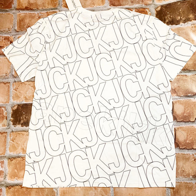 Calvin Klein(カルバンクライン)のTシャツ カルバンクライン　新品　正規品　CK　ホワイト　白　XL ビッグサイズ メンズのトップス(Tシャツ/カットソー(半袖/袖なし))の商品写真