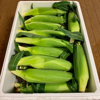 朝採り！北海道 江別産 ブランドとうもろこし 恵ゴールド 20本(野菜)