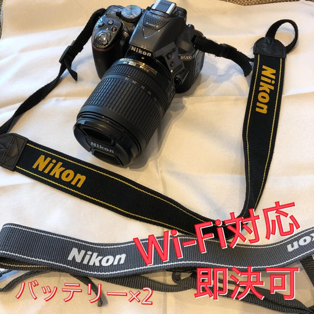 Nikon D5300 18-140 VR レンズキット