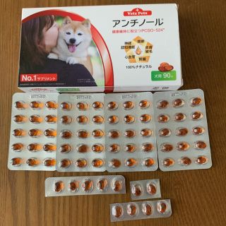 アンチノール犬  71粒(犬)