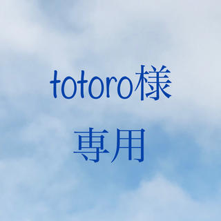 totoro様専用ページ(Tシャツ/カットソー)