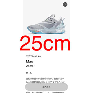 ナイキ(NIKE)のNIKE ADAPT BB 2.0 mag アダプト ウルフグレー (スニーカー)