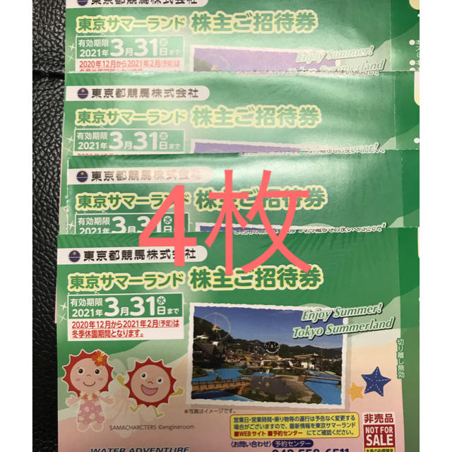 ◇高品質 速達可能翌日到着 2枚 東京サマーランド株主優待券 1DAYパス フリーパス⑧ 東京サマーランド 12枚 1Dayパス ご予約サポート