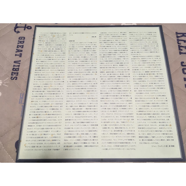 レーザーディスク　チャイコフスキー　バレエ　白鳥の湖　フォンテーン、ヌレエフ エンタメ/ホビーのCD(クラシック)の商品写真