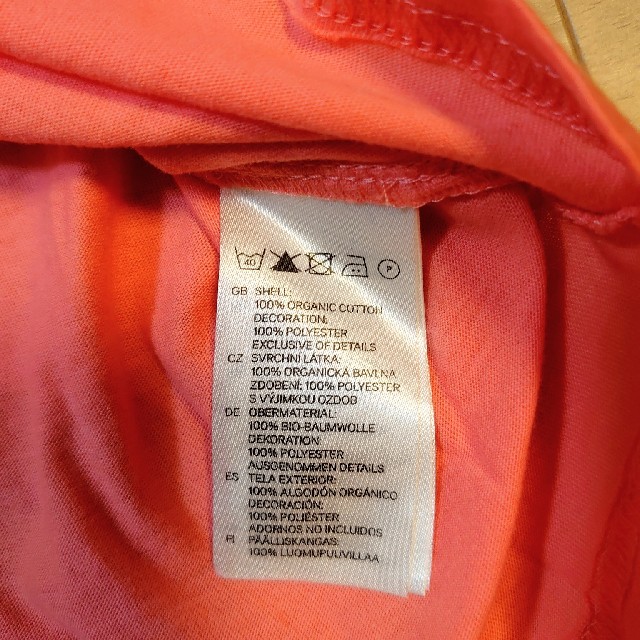 H&M(エイチアンドエム)のH & M　花びら付きＴシャツ レディースのトップス(Tシャツ(半袖/袖なし))の商品写真