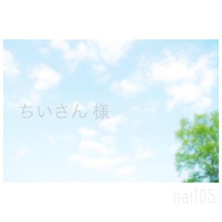 ちい様🌿専用出品(つけ爪/ネイルチップ)