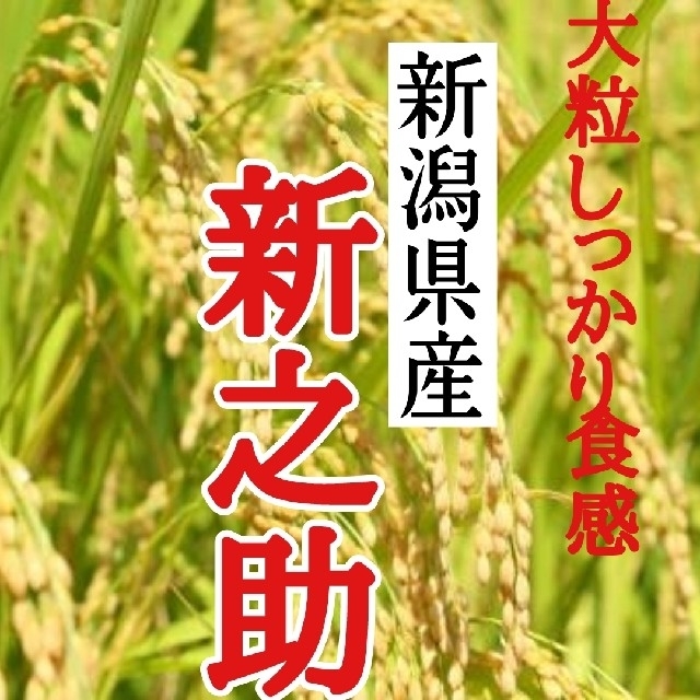 産直 新潟県産新之助 玄米10㎏(令和元年産)