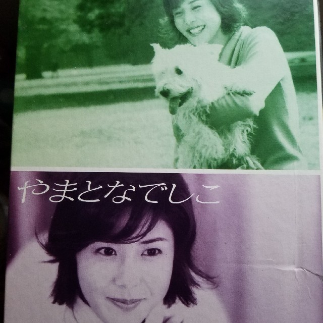 松嶋菜々子やまとなでしこ　DVD-BOX DVD