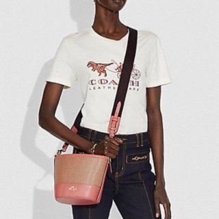 コーチ(COACH)のcoach コーチ　ストロー　バケットバッグ　かごバッグ(かごバッグ/ストローバッグ)