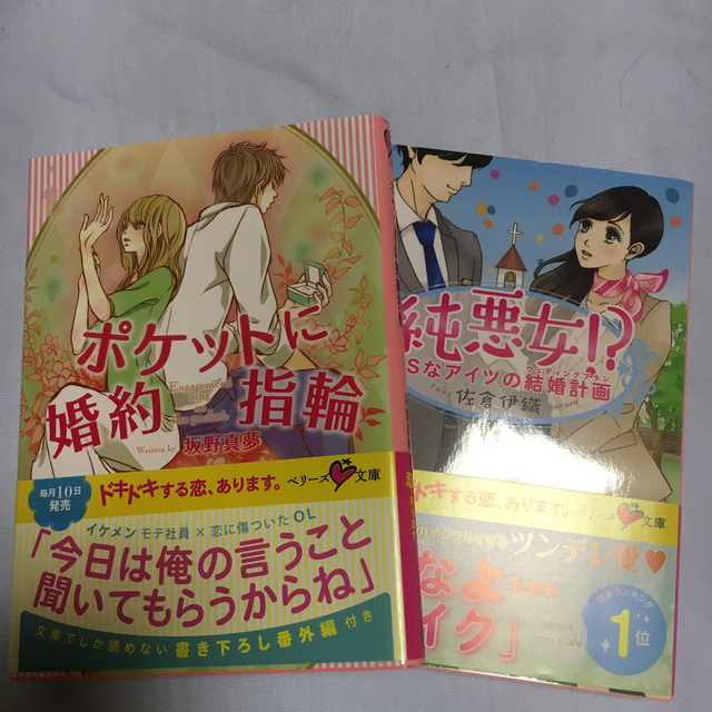 あさひ様専用　ベリーズ文庫　2冊 エンタメ/ホビーの本(文学/小説)の商品写真