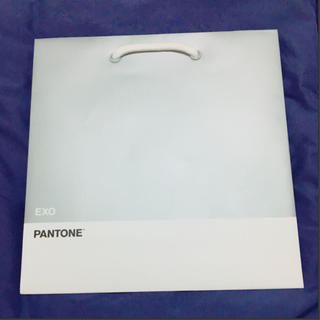 エクソ(EXO)のexo pantone shopping bag 2枚セット(アイドルグッズ)