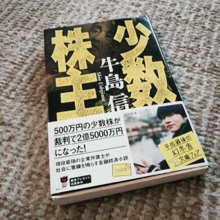 少数株主(文学/小説)