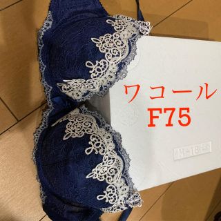 ワコール(Wacoal)のワコール　本当に最終値下げ！ボディコンシャス　ブラF75(ブラ)