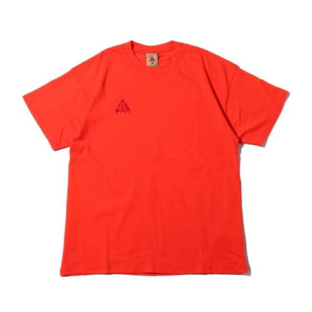 NIKE(ナイキ)のnike ACG Tシャツ L メンズのトップス(Tシャツ/カットソー(半袖/袖なし))の商品写真