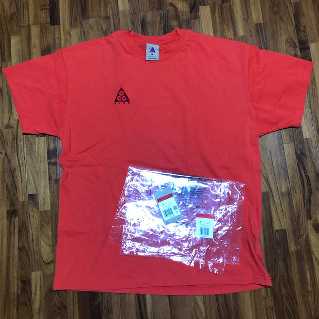 NIKE(ナイキ)のnike ACG Tシャツ L メンズのトップス(Tシャツ/カットソー(半袖/袖なし))の商品写真